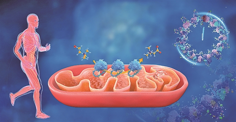 2025年度“中国科学十大进展”揭晓——攀登!直抵科学高峰 2025年度“中国科学十大进展”揭晓——攀登!直抵科学高峰