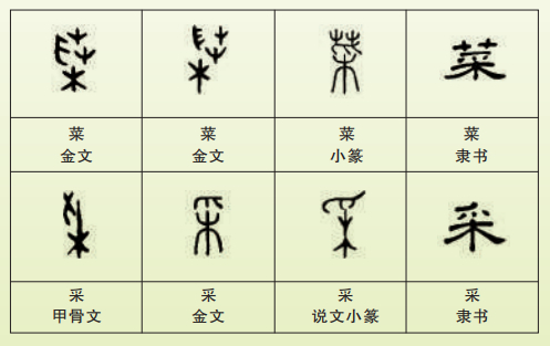 光明文化周末:菜重芥姜 光明文化周末:菜重芥姜