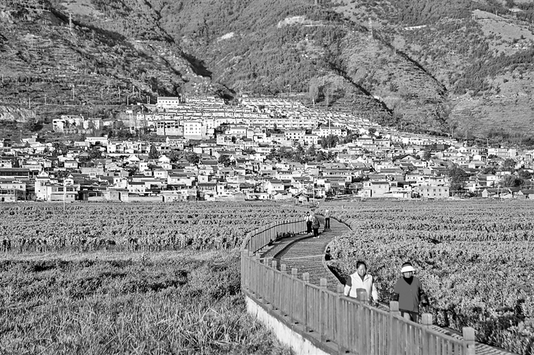 农文旅体融合为乡村振兴注入新动能