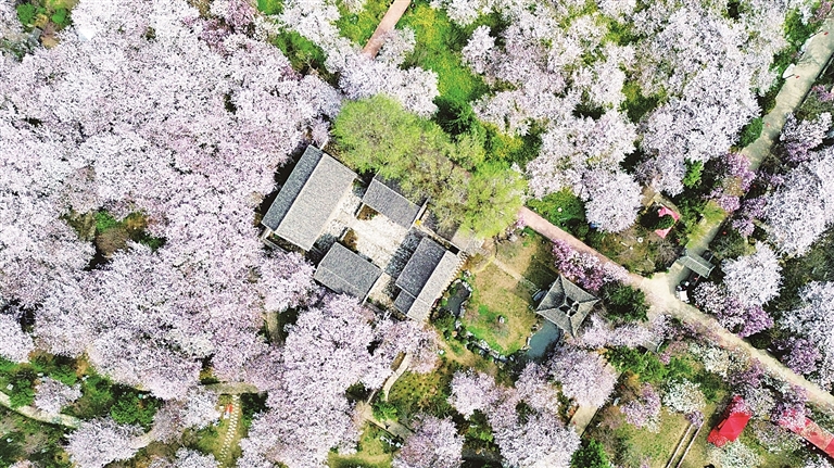 【大美中国】春韵