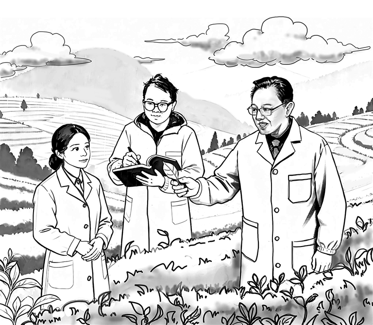 湖南农业大学茶学团队:用一片叶子 富一方百姓 湖南农业大学茶学团队:用一片叶子 富一方百姓