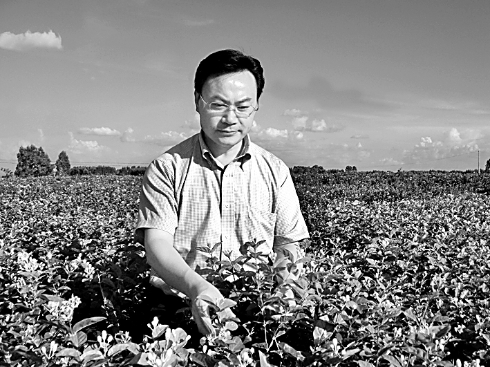 湖南农业大学茶学团队:用一片叶子 富一方百姓 湖南农业大学茶学团队:用一片叶子 富一方百姓