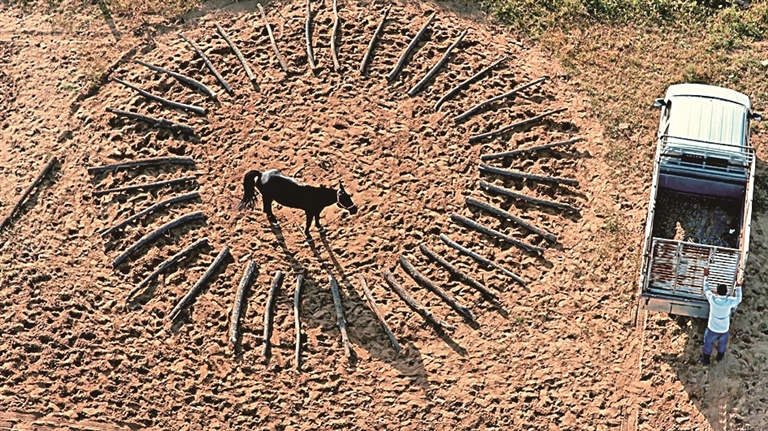 内蒙古乌审旗：草原蹄鼓踏流韵