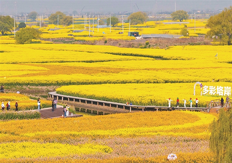 【大美中国】春满大地