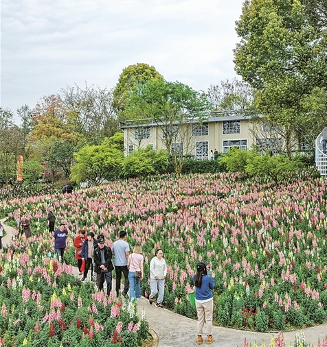 春光正好，文旅消费暖意浓