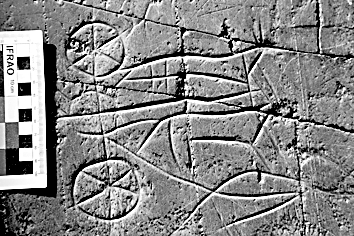 “车到此”的实证问题