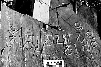 “车到此”的实证问题