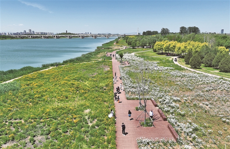 奏响城市治理“大合唱”