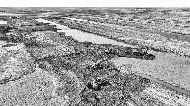 修复湿地 保护生态