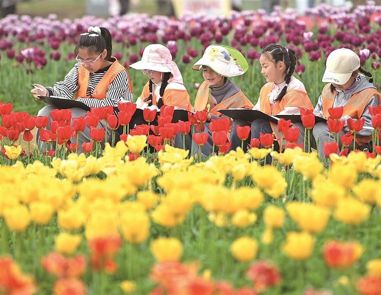 春假研学收获多