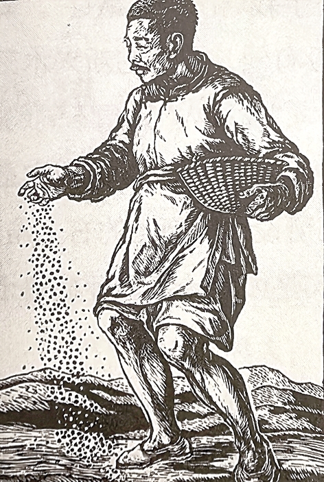 鲁迅的面容映照百年变迁