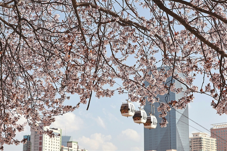 【大美中国】春色如许