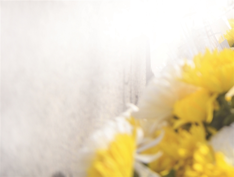 在追思传承中蓄力前行