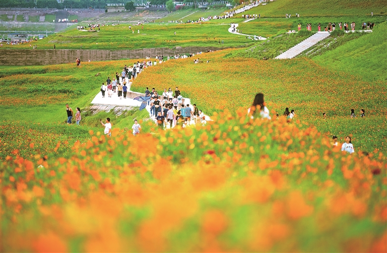 长江消落带的蝶变