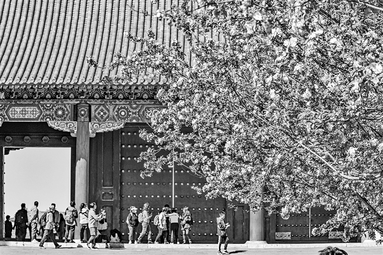 假日赏春正当时