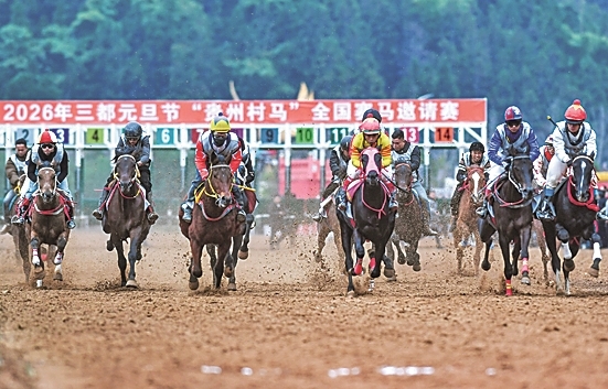 【大调研，我们在行动】说说贵州这些“村字号”