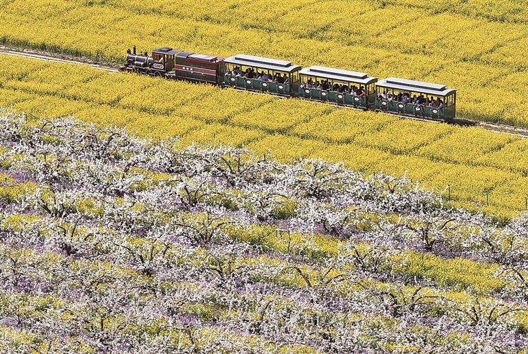 【大美中国】春花开