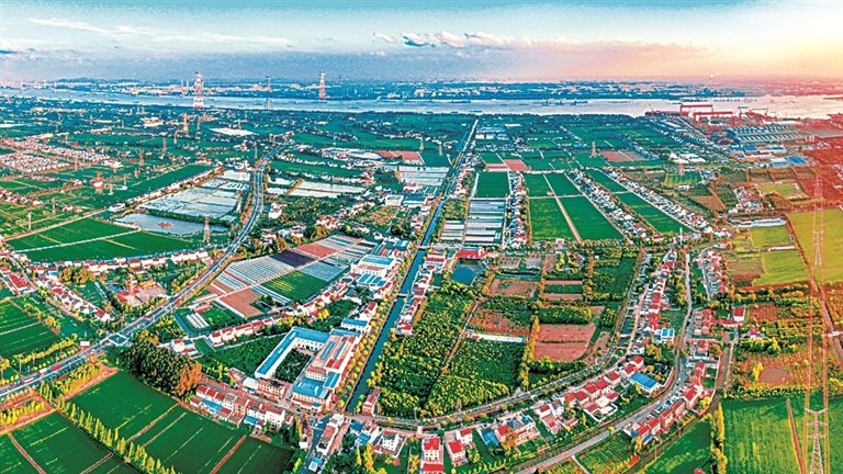 江苏靖江新桥镇德胜村:富口袋,也富脑袋 江苏靖江新桥镇德胜村:富口袋,也富脑袋