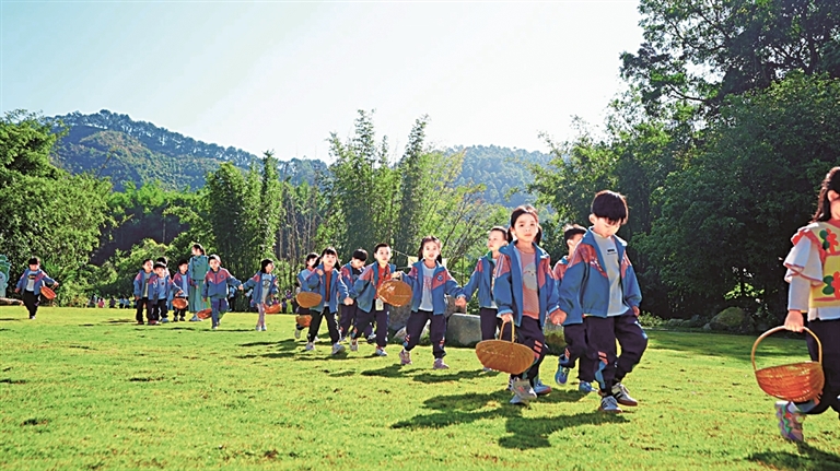 从“兴一村”到“强一片”——广东省惠州市以片区化推进乡村振兴观察 从“兴一村”到“强一片”——广东省惠州市以片区化推进乡村振兴观察