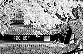 我即旅途——评《世纪漫游:我的地理学术历程》 我即旅途——评《世纪漫游:我的地理学术历程》