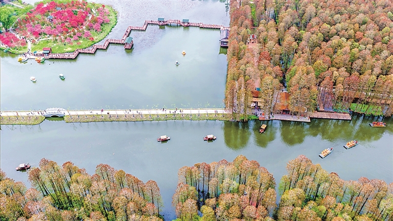 【大美中国】春色倾城