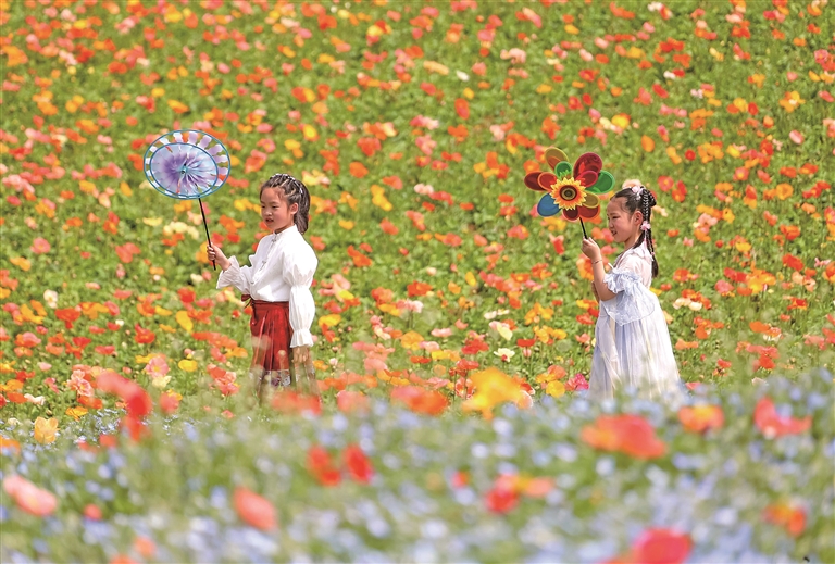 走向制度化的春秋假，你期待吗