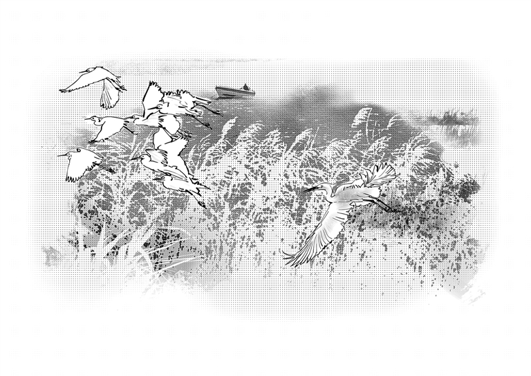 光明文化周末:淀上船家 光明文化周末:淀上船家