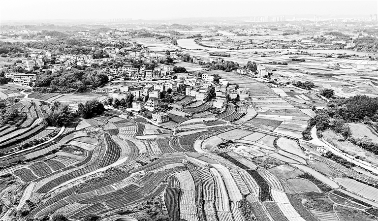 春日田园生机浓