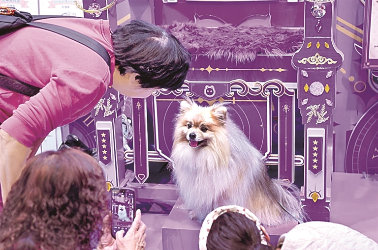 网络文艺创作与情感动力机制 网络文艺创作与情感动力机制