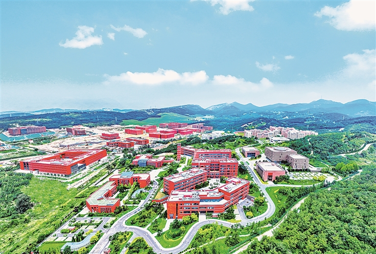 服务“焕新” 培育发展“沃土”——辽宁全力打造优良营商环境