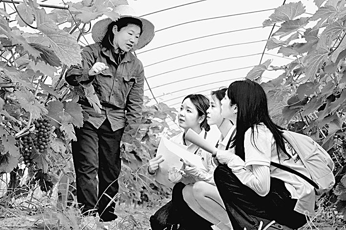 翻转课堂如何更好服务教学