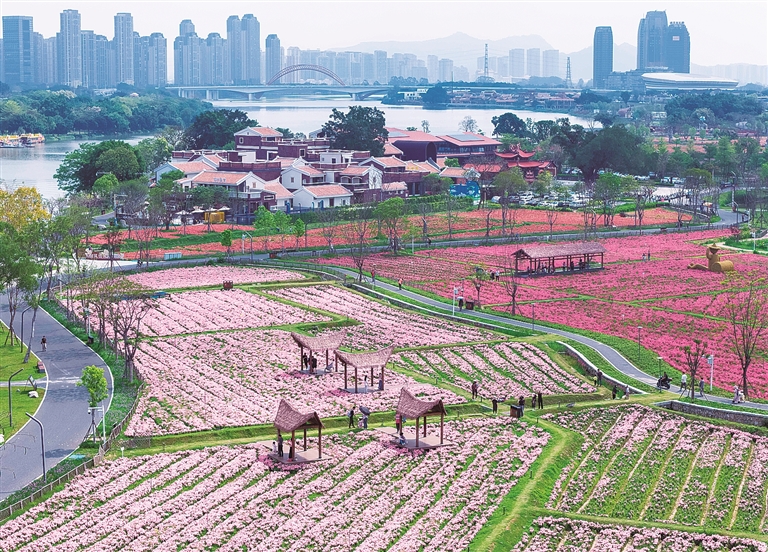 【大美中国】春日寻芳