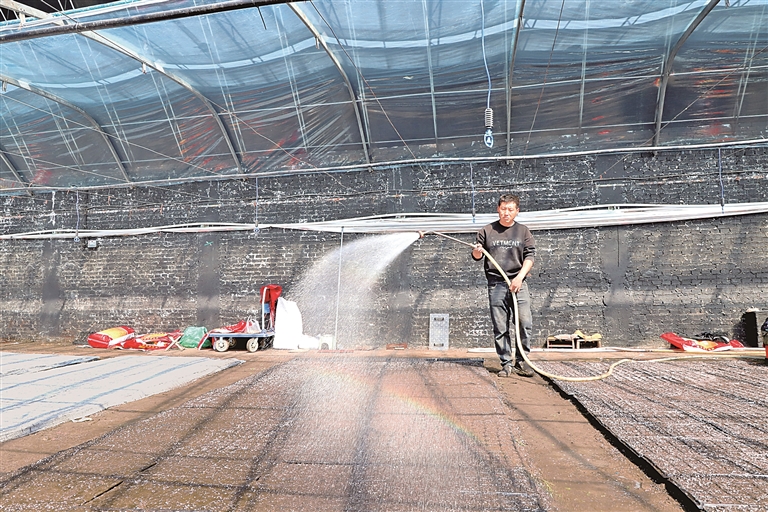 内蒙古科右前旗红心村:四季“不闲”促增收 内蒙古科右前旗红心村:四季“不闲”促增收