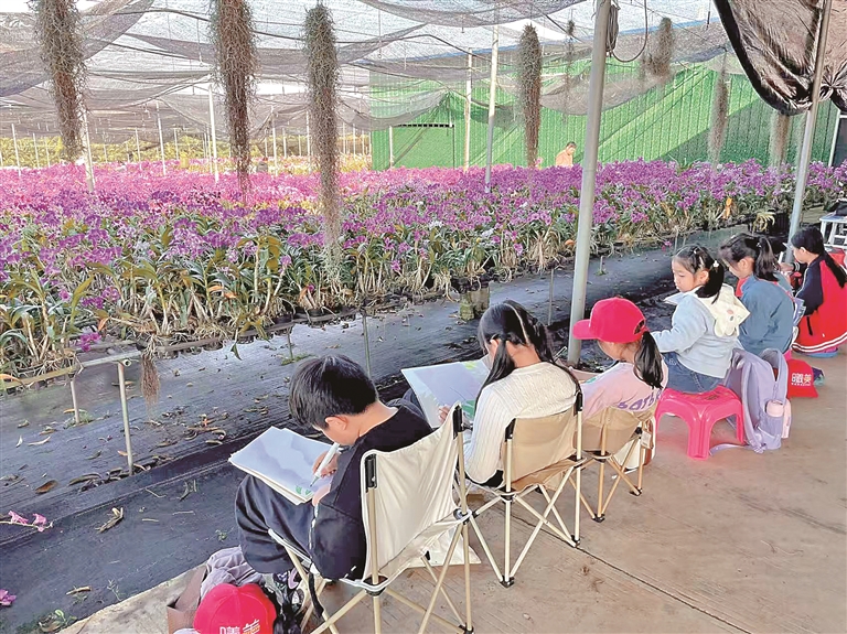 海南省东方市乐妹村:十年“兰心”绘新景 海南省东方市乐妹村:十年“兰心”绘新景