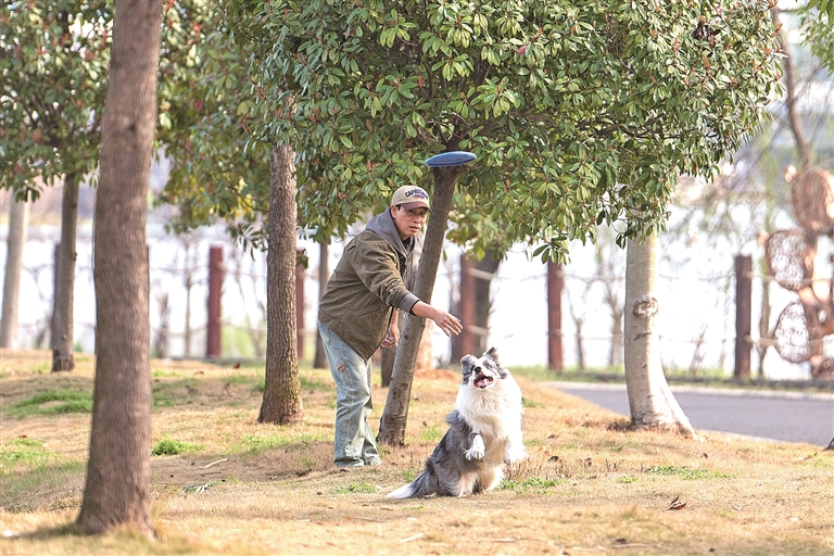 “标准”如何护航宠物经济良性发展 “标准”如何护航宠物经济良性发展