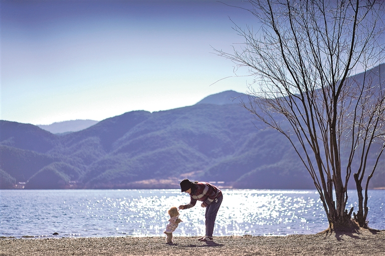 “标准”如何护航宠物经济良性发展 “标准”如何护航宠物经济良性发展