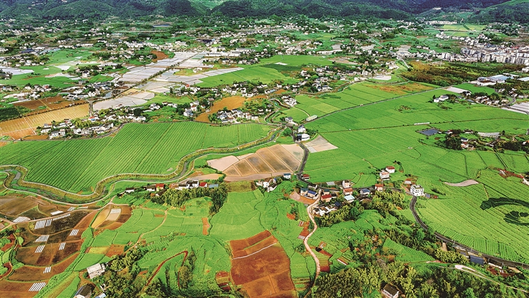 农业绿色转型 助力美丽中国建设 农业绿色转型 助力美丽中国建设