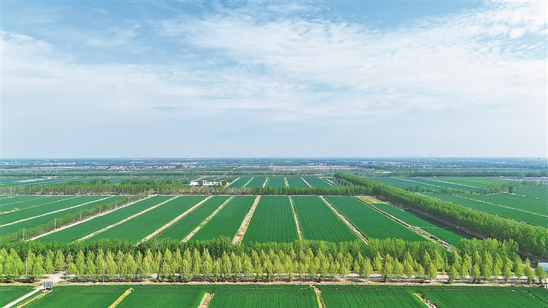 【大美中国】农田春景