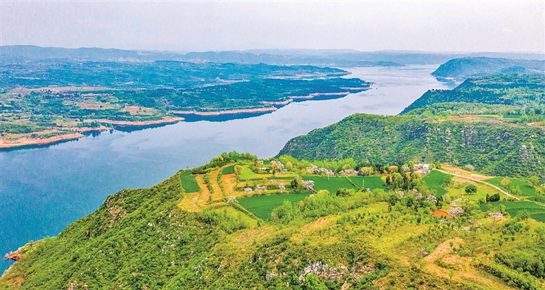 黄河岸边春意浓