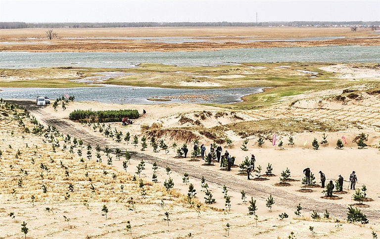 科尔沁沙地歼灭战进行时