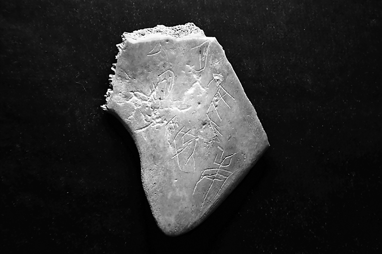 随阅读一同演进