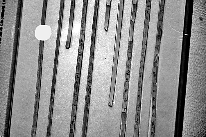 随阅读一同演进