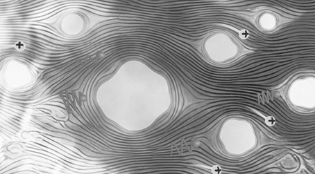 贴上“塑料” 你能化身行走的充电宝！