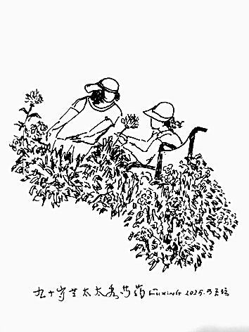 【边写边画】天坛笔记