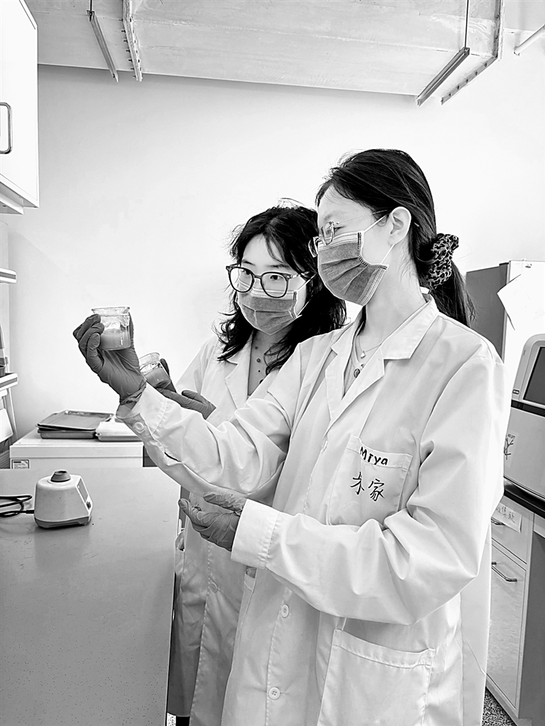 北京工商大学蛋白质资源挖掘与利用团队：争当研制“未来食品”的生力军