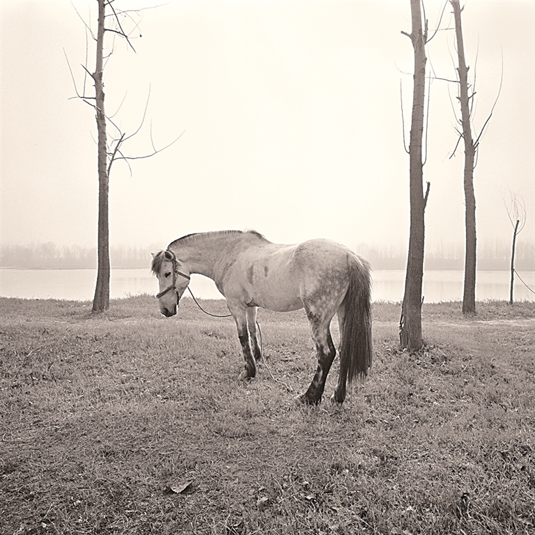 搜尽奇峰 溯洄从之——中国当代山水影像艺术探微
