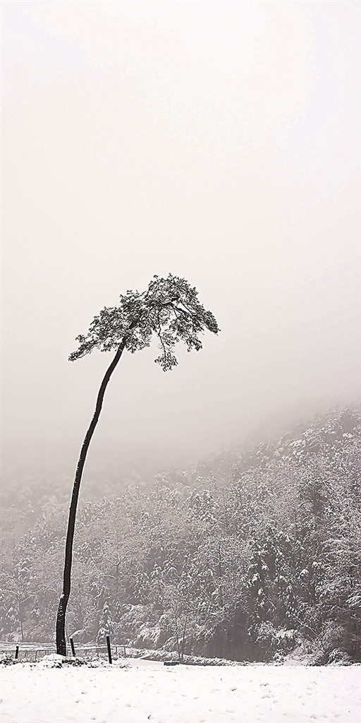 搜尽奇峰 溯洄从之——中国当代山水影像艺术探微