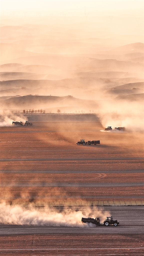 塔克拉玛干“绿围脖”越织越厚