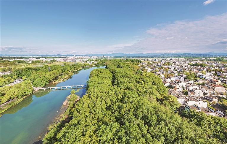 【大美中国】湿地春意