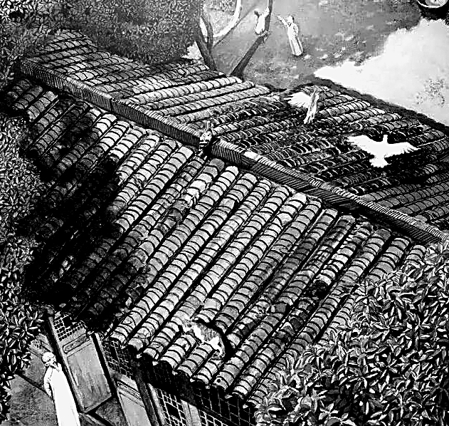 数智时代守护散文的生命感